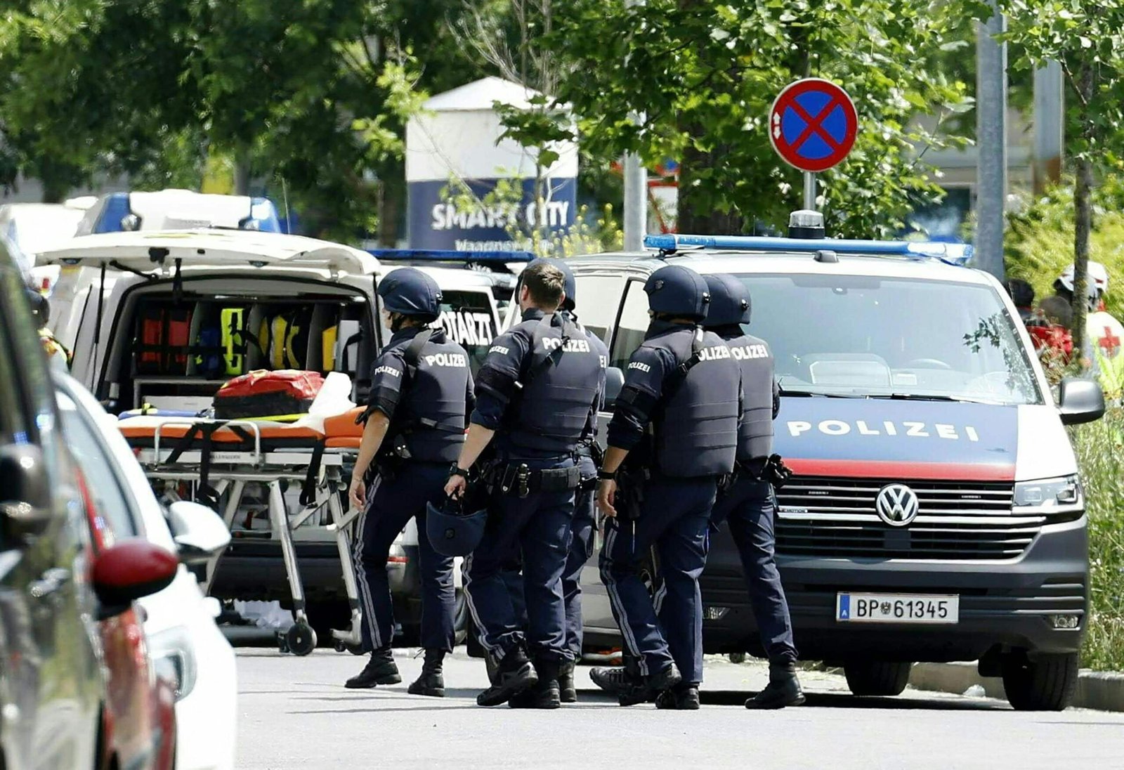At least 9 dead in the shooting at the Austrian school, along with alleged shooter, says the mayor